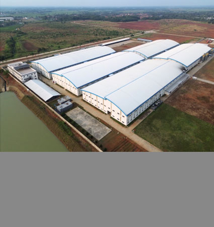 PT. MDK (PT. Meiloon Technology Indonesia)